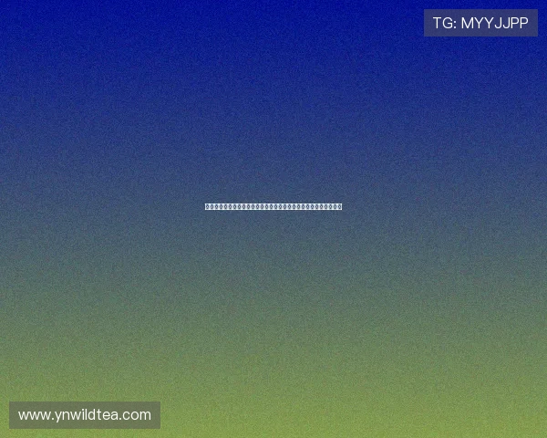 今日足球预测推荐实单解析稳胆精选数据前瞻盈利思路分享实战方法