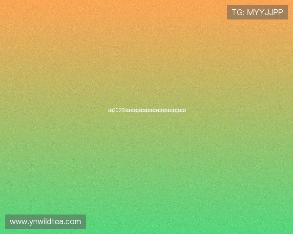 欧冠2025直播平台全攻略赛事时间解说阵容观看指南高清稳定推荐