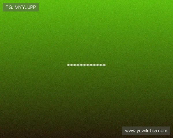 竞彩网比赛结果深度解读助力彩民精准把握投注走势分析方向