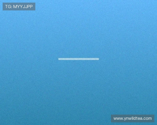 英超直播免费观看完整版平台汇总实时高清赛事解析指南最新权威全面