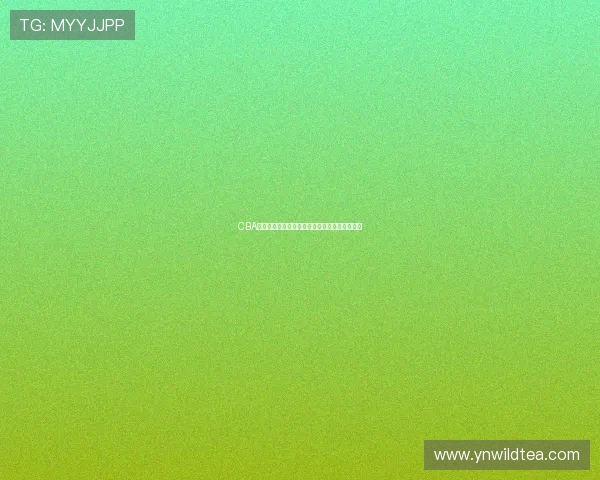 CBA精彩赛事在线观看尽享高清直播体验全程无广告