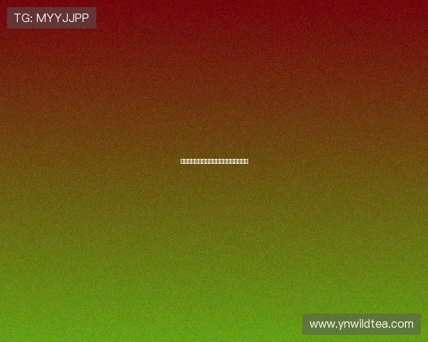 乐竞网页版登录入口详解与操作指南全攻略