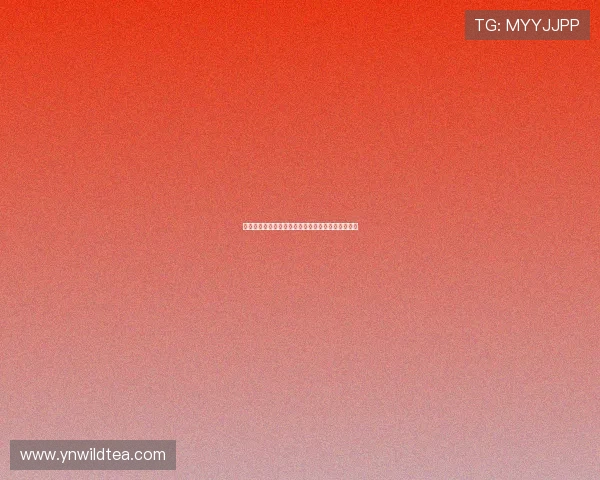 全程聚焦精彩排球赛事现场直播与赛场精彩瞬间解析 全程聚焦精彩排球赛事现场直播与赛场精彩瞬间解析