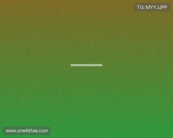 高清看球直播在线观看畅享极速体育赛事精彩瞬间 高清看球直播在线观看畅享极速体育赛事精彩瞬间